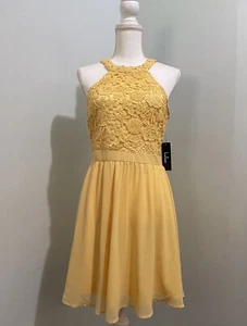 Lulu’s Lace Skater Dress Medium Halter Floral Overlay Sleeveless Pleated NEW - Picture 1 of 12