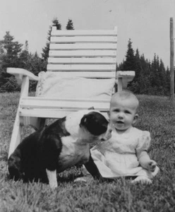 Baby Sitting Grass Pet Dog Boston Terrier Mix White Chair Trees 1940s - Picture 1 of 3