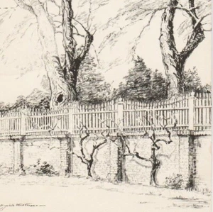 Vtg Elizabeth O'Neill Verner Postcard Wall Of The Vegetable Garden Mount Vernon - Picture 1 of 3