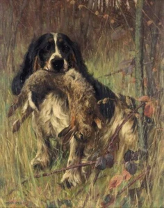 Arthur Wardle Spaniel Having Retrieved A Rabbit Lona Estampado 16 x 20 - Imagen 1 de 4