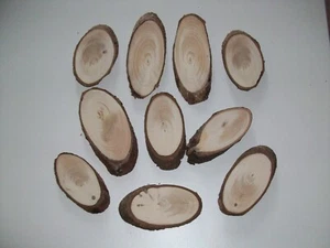 Baumscheiben Astscheiben mit Rinde rund oval , Mix 10 Stk. - Bild 1 von 4