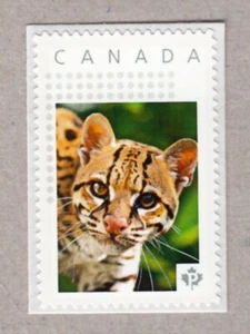 OCELOTE LEOPARDO ENANO = gato = Estampilla de franqueo foto montada Canadá 2016 [p16/03wc6/6] - Imagen 1 de 2