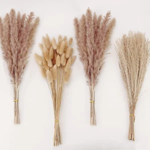 Natural Dried Pampas Grass Decor, Brown Pampas Grass， Bunny Tails Dried Flowers, - Picture 1 of 12