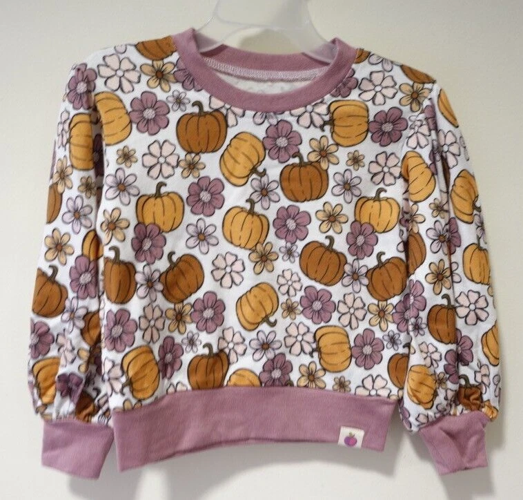 全新带标签 Cheeky Plum 南瓜和花卉上衣女孩尺寸 2T — 第 1/1 张图片