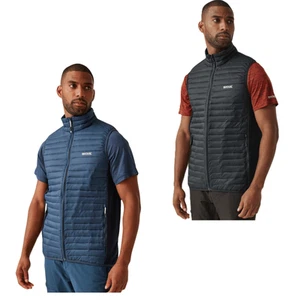 Chaleco acolchado híbrido Anderson Regatta para hombre - Imagen 1 de 9