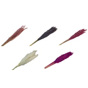 Eryanthus Colorato Secchi Pz 10 Decorazione Composizione Floreale Addobbi - Imagen 1 de 6