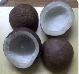 Dry Coconut Halve Whole 500g Copra Organic Fresh whole Rich In Oil Ceylon Made - Picture 1 of 3