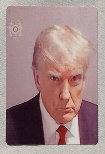 Donald Trump Fulton County Georgia mugshot 2x3 refrigerator fridge magnet - Picture 1 of 1