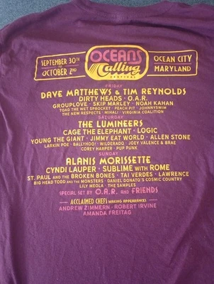 Футболка Oceans Calling Festival, Dave Matthews Band, Alanis Morrissette, маленькая  - Изображение 1 из 3