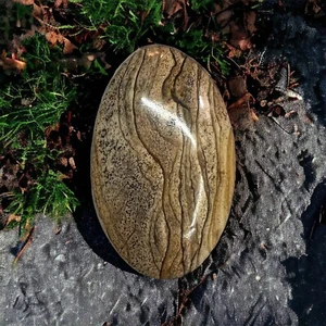 Bild Jaspis Cabochon 54,3 mm x 34,1 mm x 6,6 mm 91,0 ct - Bild 1 von 5