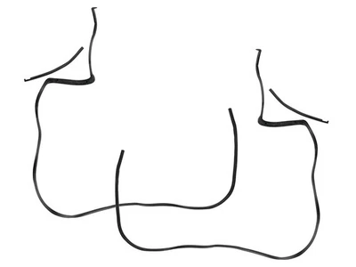 Kit de impermeabilización Fairlane Door 1955 diestro Victoria Montclair Monterey nuevo Foto 1 de 4