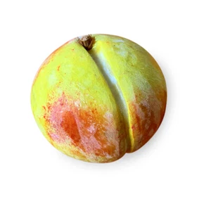 Susina Sculpté Fruit Marbre Peint à la Main Hand Painted Marble Plum Fruit Decor - Picture 1 of 2