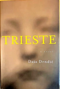 Trieste by Dasa Drndic First 1st Edition LN HC 2014 - Picture 1 of 3