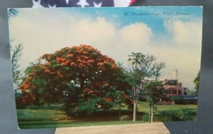 Unused 3 1/2 x 5 1/2 Postcard Pomander Gate Paget Bermuda - Picture 1 of 2
