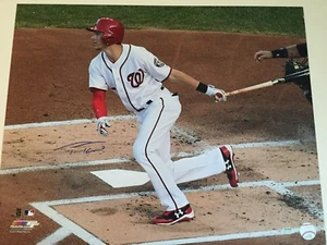 Trea Turner Autographed Signed 16x20 Photo - Schwartz - Picture 1 of 5