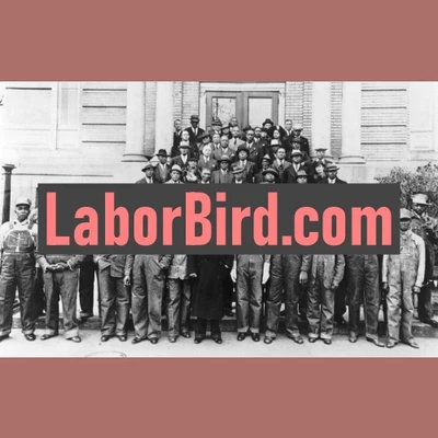 LaborBird .com / Dominios en venta / Marca comercial en línea, nombre del sitio web / SAV Foto 1 de 2