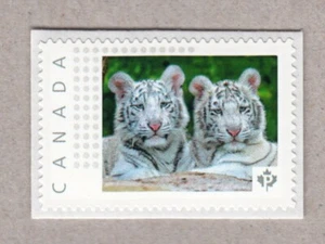 WHITE TIGER CUBS = Picture Postage MNH-VF Canada 2016 [p16/02-2cb3/1] - Picture 1 of 2