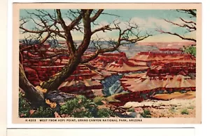 1940s Grand Canyon Fred Harvey Linen Postcard West From Hopi Point-PP10 - Picture 1 of 2