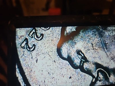 2022 Spitting Washington Quarter In Cod We Trust - Image 1 of 4