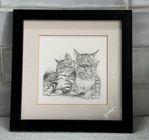 Steve O Connell - Disegno gatto incorniciato - Foto 1 di 3
