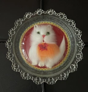 Plato vintage de vidrio transparente 3D blanco peludo gatito gato - Imagen 1 de 4