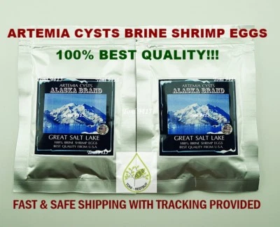 ALASKA USA PREMIUM Fresh Quality 100g. Brine Shrimp Egg BEST Artemia Cysts 90% - Image 1 of 4