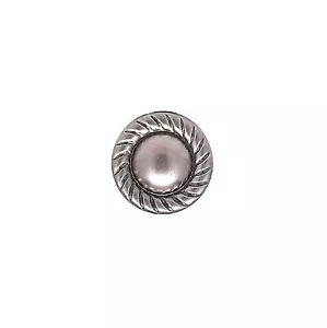 Manchas de cabeza de uña latón sólido hormiga borde de cuerda placa de níquel 3/8" diapositiva 100 piezas NH20895AN - Imagen 1 de 3