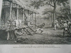 Gravure 1872 - Malaisien expulse un intrus Gros Serpent - Picture 1 of 1