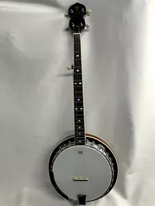 Danville 5-String Banjo without Case - Picture 1 of 9