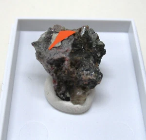 +++ MM: Umbit -- Yukspor, Kola, Russland +++ - Bild 1 von 3