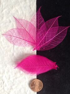 25 Skeleton Leaves Hot Pink Small leaf soapmaking cards candle Valentines Crafts