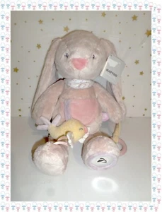 ㊳ - Grand Doudou Peluche D' Activités Lapin Pomme et Rose Nattou - Picture 1 of 10
