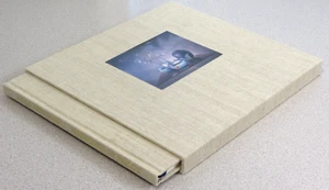 Perceptions of Reality : The Paintings of Dario Campanile in slipcase - Picture 1 of 7
