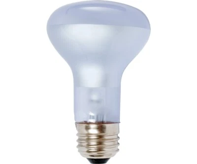 Agrosun Dayspot Light Bulb, 60W, Pack of 1
