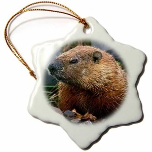 3dRose Groundhog 3 inch Snowflake Porcelain Ornament - Picture 1 of 1