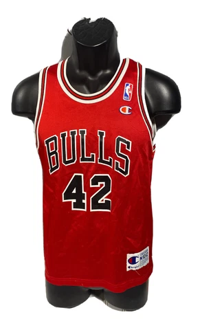 Champion Jersey Bulls  Brand  Kids Youth   Size 10-12 Cover