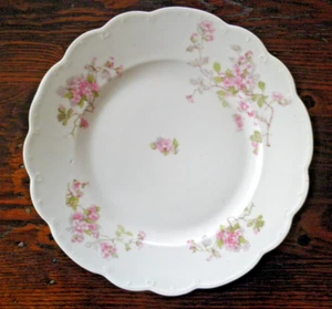M.Z. ÖSTERREICH WEISSER SPEISETELLER MIT ROSA ROSEN 9 3/4" - Bild 1 von 6