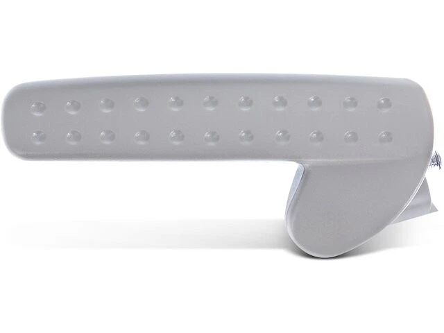 Manija de puerta para Dodge Ram 1500 2002-2008 2003 2004 2005 2006 2007 VF922WN Foto 1 de 1