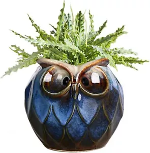 Blue Owl Ceramic Succulent Planter with Drainage Hole Animal Plant Pot - Picture 1 of 8