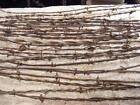 25 ANTIQUE BARBED BARB WIRE FENCE STRANDS FARM & RANCH COLLECTIBLES