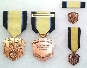 US Defense Commissary Agency Civilian Career Service Medal, complete set - Picture 1 of 1