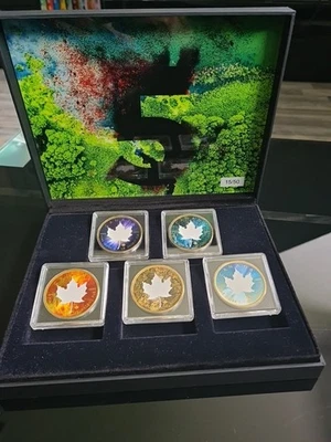 Münzen Sammlung Maple Leaf 2023 Elements Iced Out 1/50 1 Unze Silber - Bild 1 von 4