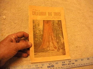 A Story of Californian Big Trees , First Edition and May 1949 - Picture 1 of 12