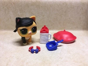 LOL Surprise Doll Pets #P-028 FUZZY FAN Kitty Series 3 Preowned - Picture 1 of 7