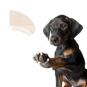 ELFENBEIN ~ 60 STÜCK weiche Nagelkappen für HUNDEKRALLEN ~ HÜBSCHE KRALLEN ~ Pfoten ab - Bild 1 von 1