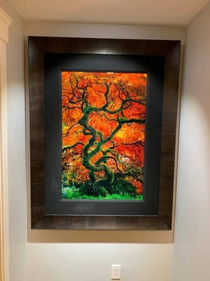 Archivo de cristal Fuji de haluro de plata Peter Lik numerado certificado de autenticidad Foto 1 de 4