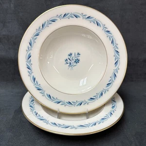 Tazón de sopa con borde Lenox BLUERIDGE 8 1/4 pulgadas MARCA VERDE - Imagen 1 de 7