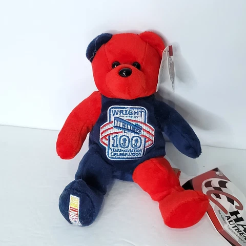 #24 Jeff Gordon Team Speed Bear NASCAR Multi Colored Plush Bear 100 Years Wright Cover