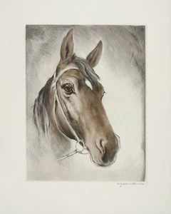"FRITZ NEUMANN (AKA RIC) FIRMADO De Colección XRare Años 60 Grabado de Caballo Equino "LISSY" - Imagen 1 de 8
