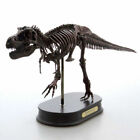  Tyrannosaurus Rex Skeleton 1/20 Statue Dinosaur Model Collection Display Brown